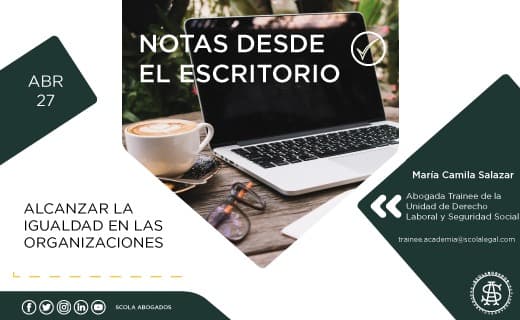 Alcanzar la igualdad en las organizaciones