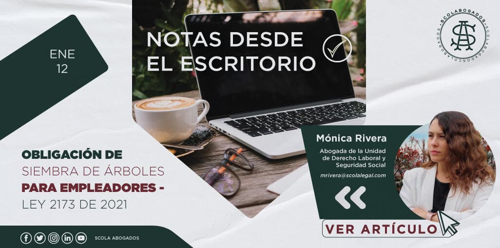 Obligación de siembra de árboles para empleadores – ley 2173 de 2021