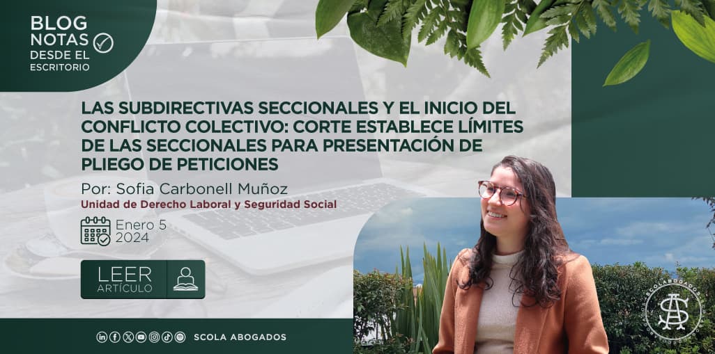 LAS SUBDIRECTIVAS SECCIONALES Y EL INICIO DEL CONFLICTO COLECTIVO: CORTE ESTABLECE LÍMITES DE LAS SECCIONALES PARA PRESENTACIÓN DE PLIEGO DE PETICIONES