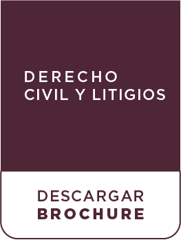 Imagen DERECHO CIVIL Y LITIGIOS